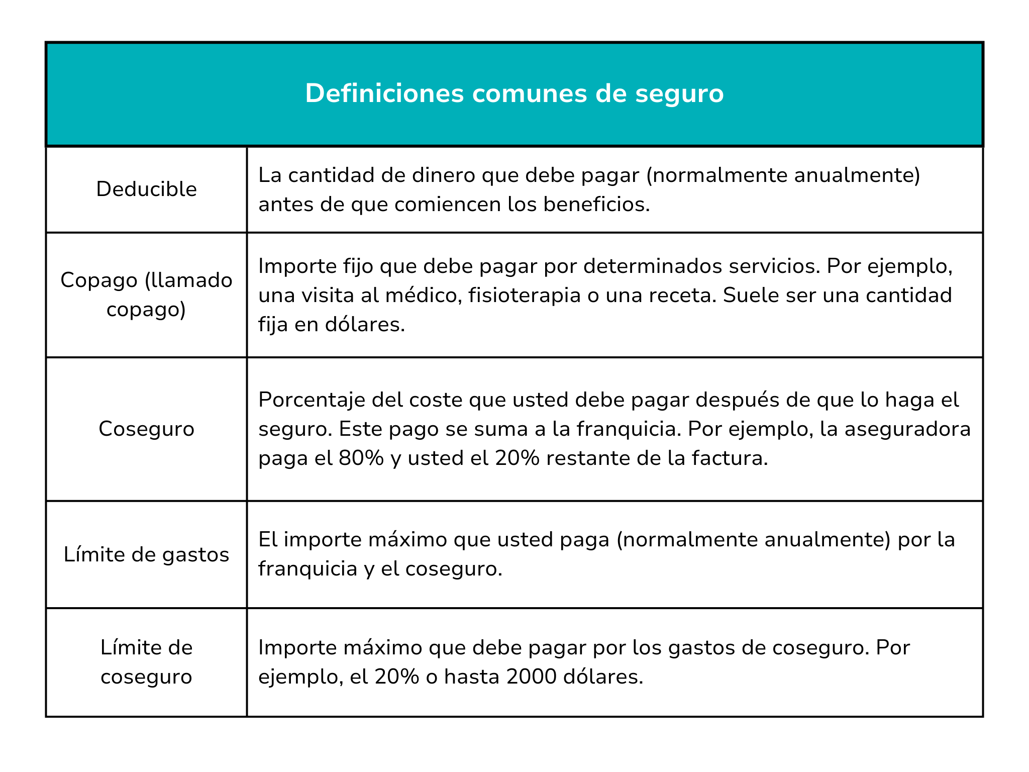 Definiciones comunes de seguro - Nacimiento-8