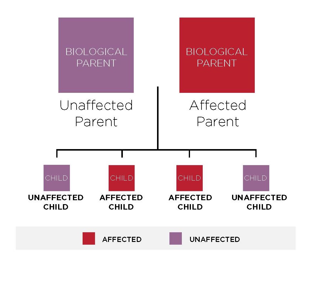 Autosomal Dominant Inheritance 