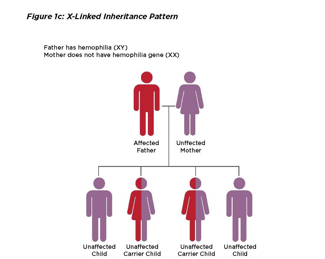 X-Linked Pattern 2