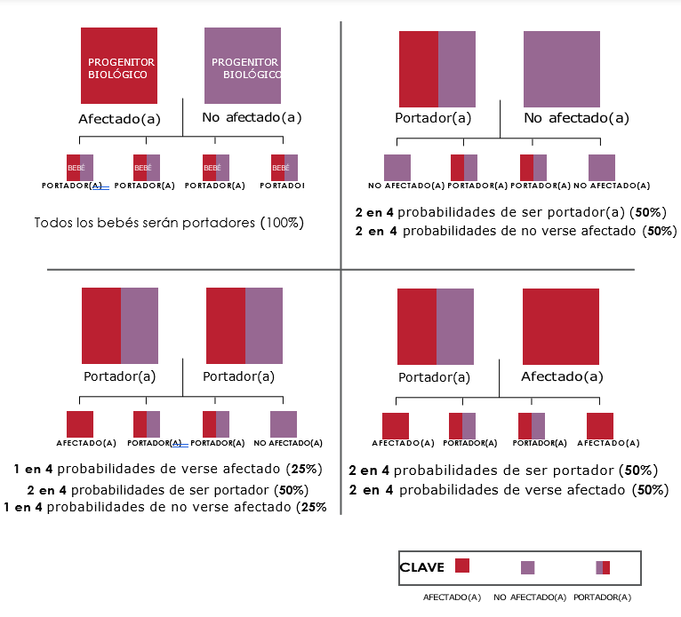 get-bleeding-disorder-spanish2