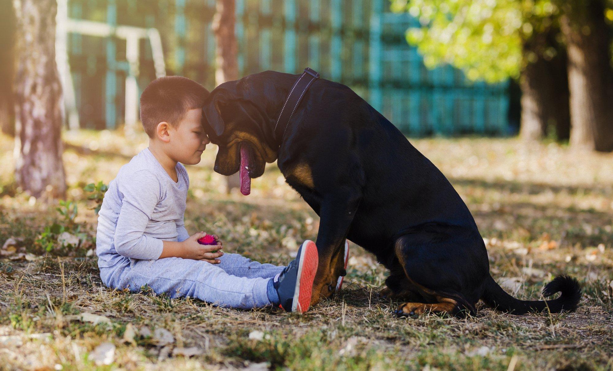 Little boy with big dog